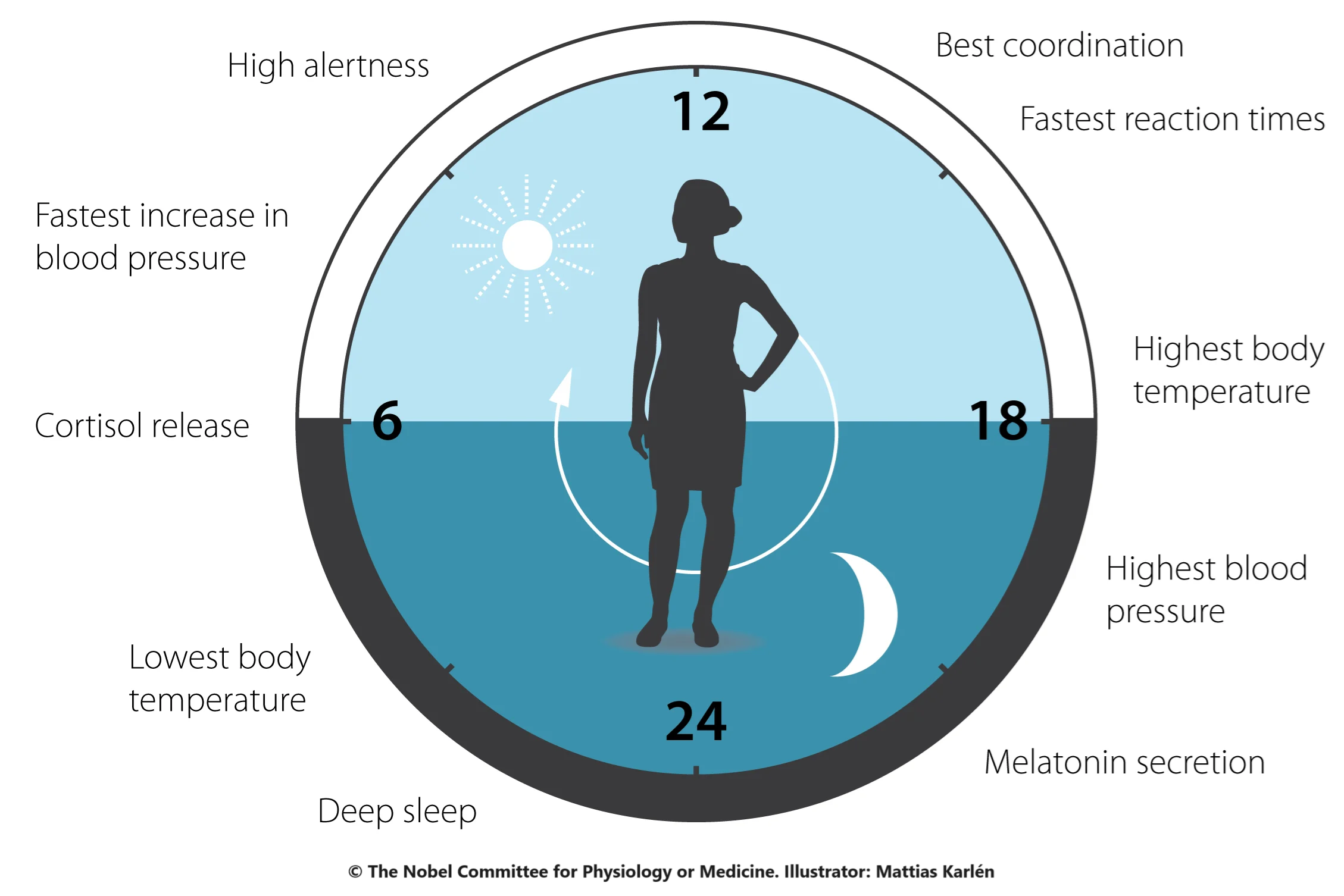 Nobel Prize Circadian Image