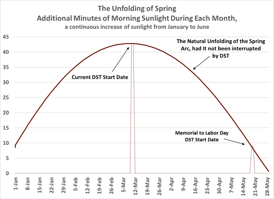 Morning sunlight as Spring Unfolds